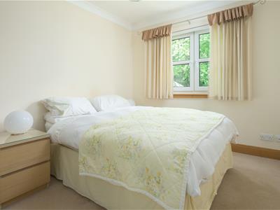 Picture 27